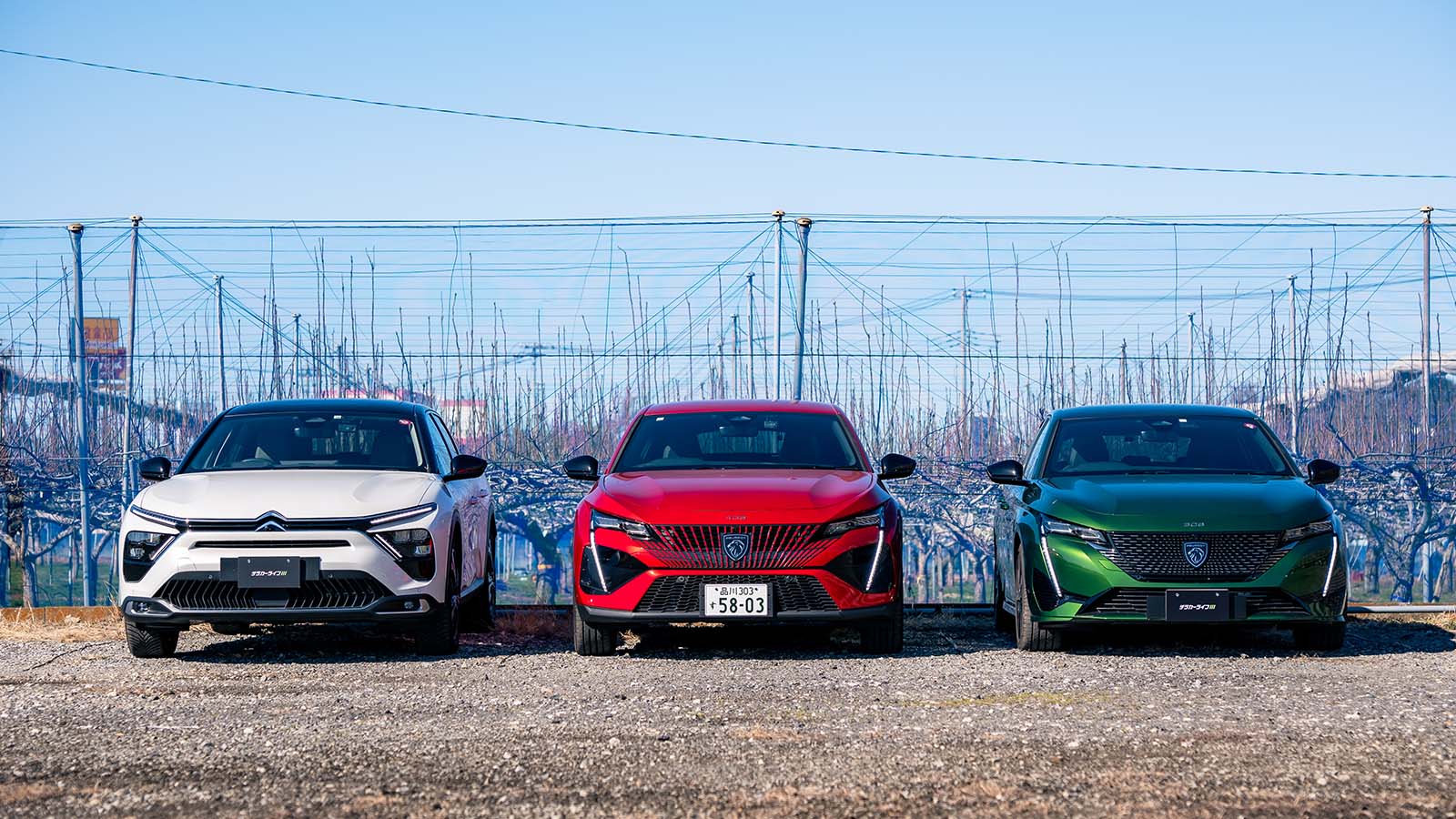 現在の愛車たち